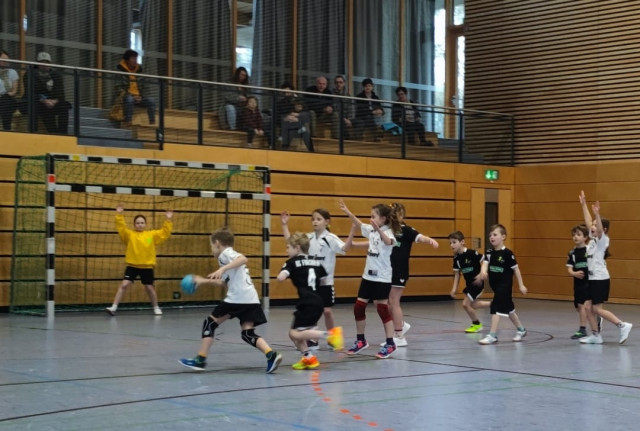 Handball-Spieltag der „Minis" vor heimischer Kulisse