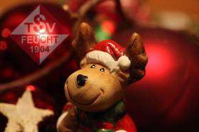 Die Handballabteilung des TSV 1904 Feucht wünscht allen Aktiven, Freunden und Gönnern,
Frohe Weihnachten und ein gesundes Jahr 2026