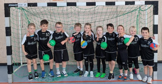 Handball: Mini 3 beim letzten Spiel der Sasion zu Gast beim HSG Erlangen/Niederdlindach