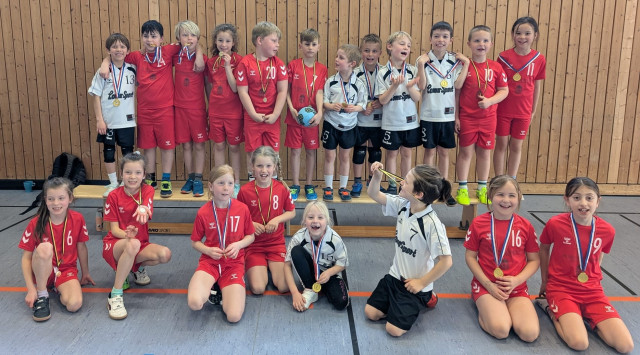 Handball: Überzeugende Leistungen der Mini 1a/1b und 2 zum Saisonabschluss