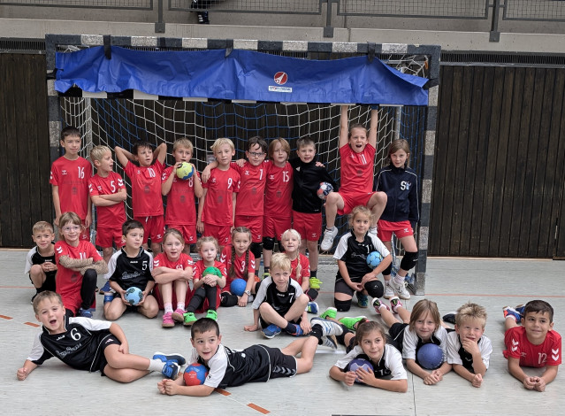 Handball: Gelungener Mini-Heimspieltag beim TSV 04 Feucht