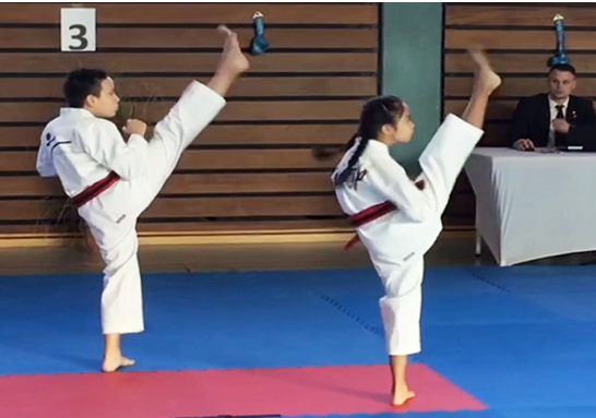Taekwondo auf hohem Niveau
