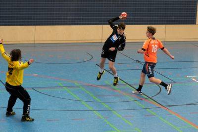 b2ap3_thumbnail_Handball_mb1_160118a.jpg