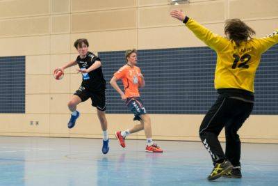 b2ap3_thumbnail_Handball_mb1_160118c.jpg