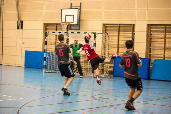 Handball_h2_300118c.jpg